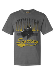 Ombre Vintage Wash Tri-Valley PRE-ORDER